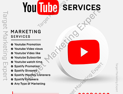 I will do premium youtube video promotion branding youtube channel monetization