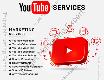 I will do premium youtube video promotion or channel Promotion youtube channel monetization