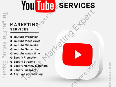 I will do premium youtube video promotion or channel Promotion