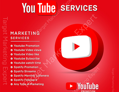 I will do premium youtube video promotion or channel Promotion youtube channel monetization