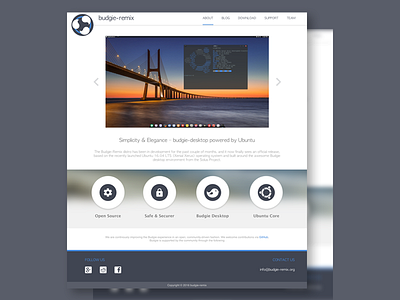 Budgie-Remix Official Website UX/UI
