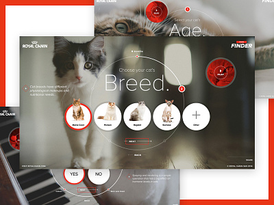 Royal Canin art direction web design