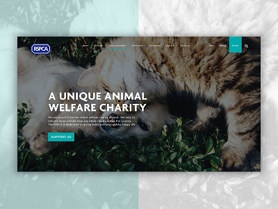 RSPCA design rebrand rspca web design website