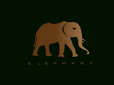 Zoo Logo Design graphic design