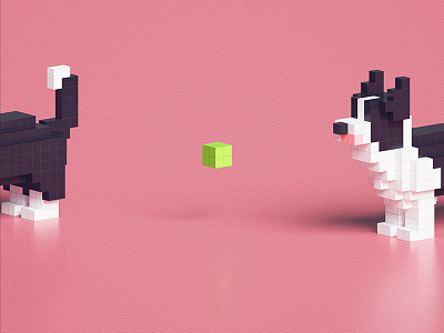 biu! 3d border collie magicavoxel voxel