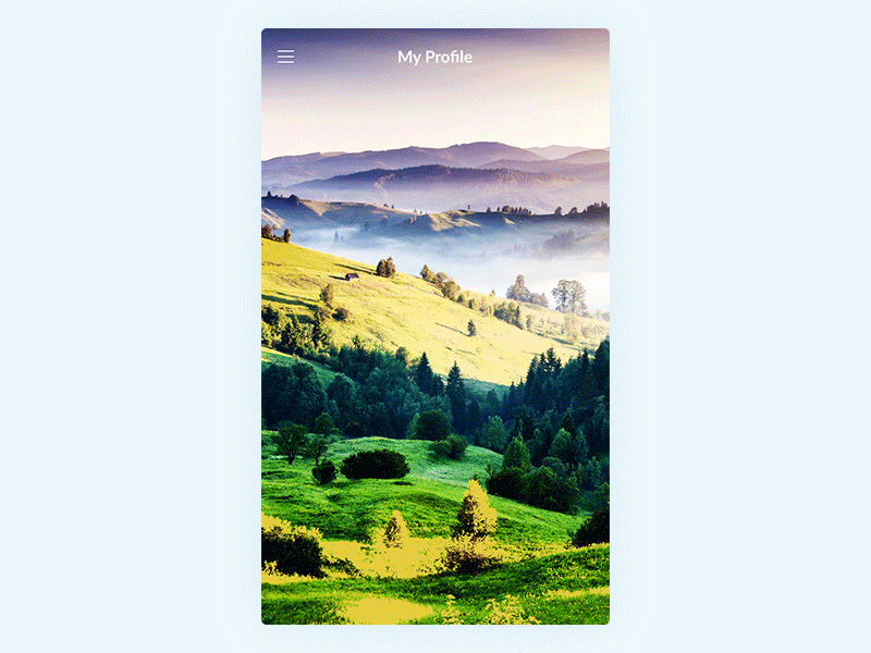 Concept of profile screen animation material mobile motion photography profile travel ui