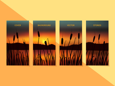 Reeds, rushes and golden sunset botanical bulrush business cane grass landscape mock up nature plant pond reeds rushes silhouette social media stories sunrise sunset swamp vector water