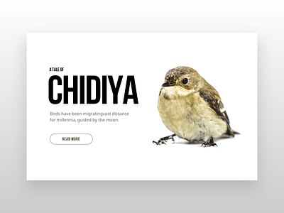 A tale of CHIDIYA bird daily ui interaction design landing page design sparrow uidesign uiuxdesign website website concept