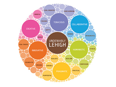 Undeniably Lehigh Infographic