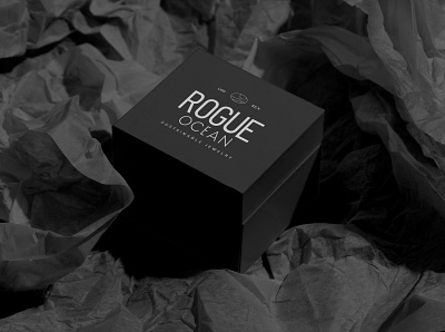 Rogue Ocean -sustainable jewelry box design box design branddesigner branding branding101 feminine logo jewelry box jewelry logo design packaging design sex logo simple logo ideas typography unisex unisex jewelry