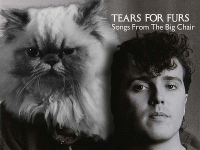 Tears For Furs cat cats photoshop tears for fears tears for furs