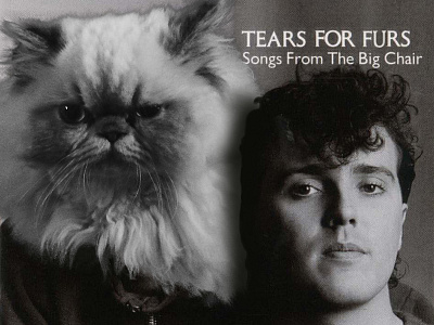 Tears For Furs