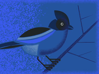 Graphic Bird Illustration