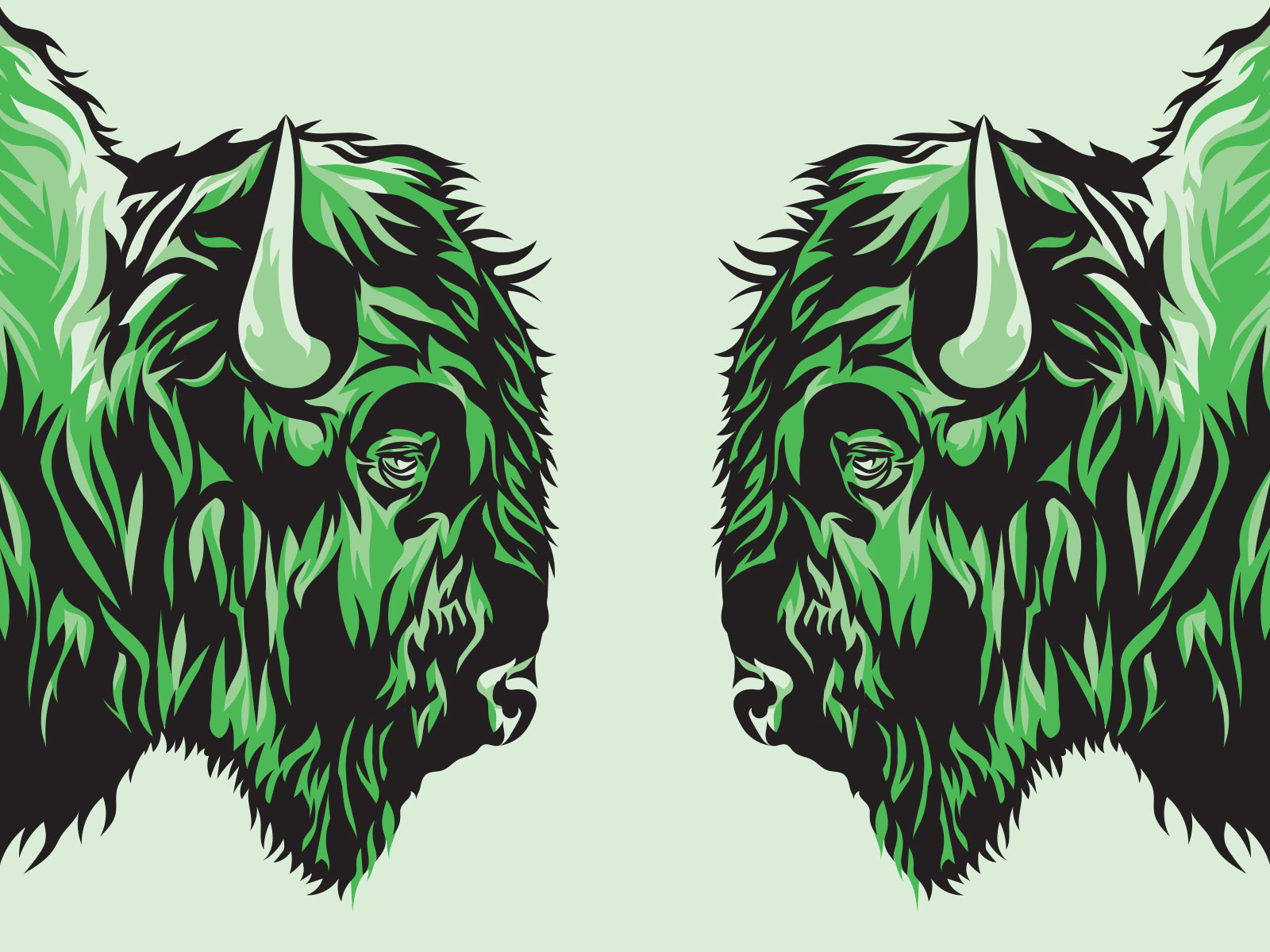 bison illustration