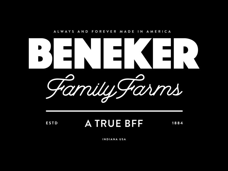 Beneker Family Farms Branding business cards brand design graphic design type typography logos logo branding