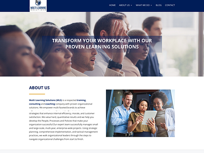 Multi Learning Solutions Website