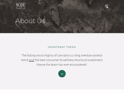 Responsive Menu: Investment Fund Website