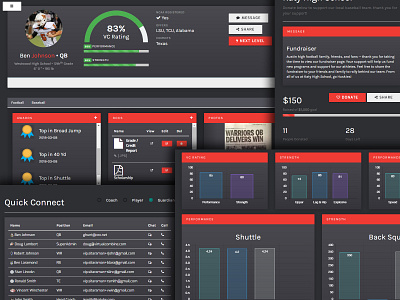 VC: Mockups, Web app development athletics charts data development full stack graphs mockup programming prototype sports sports app ui uiux user interface web web design web development