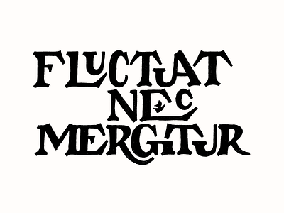 Fluctuat Nec Mergitur by Melvin-Kevin Methe on Dribbble