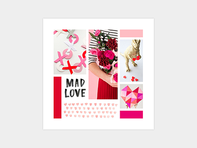 Red and Pink Mood Board