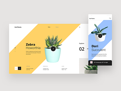 Kot Plants banner colors design designer flower hero homepage landing page mobile app pakistan plants slider template theme ui design ui designer uiux user interface design web design website