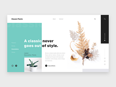 Classic Plants banner clean design colors decoration decorative design designer flowers hero home page landing page minimal design pakistan plants template theme ui design ui ux designer web design website