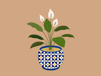 White flower in pot adobe illustrator design graphic design illustration plant pot ukraine