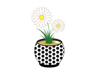 Chamomile in a pot