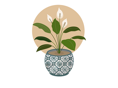 White flower in pot adobe illustrator flower graphic design illustration plant pot ukraine