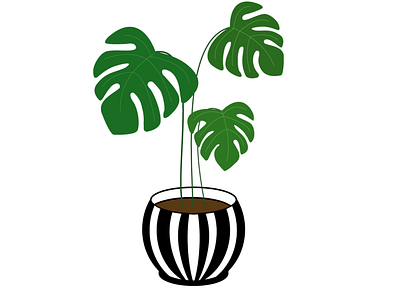 Monstera in pot adobe illustrator design flower graphic design illustration monstera plant pot ukraine