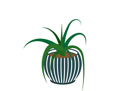 Plant adobe illustrator design graphic design illustration plant pot ukraine