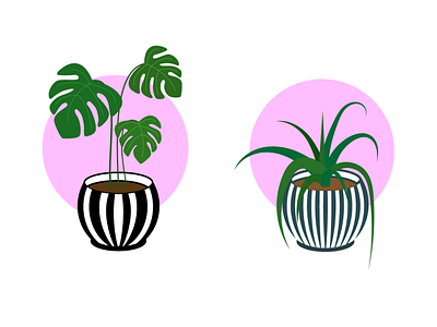 Plant collection adobe illustrator design graphic design illustration plant pot ukraine