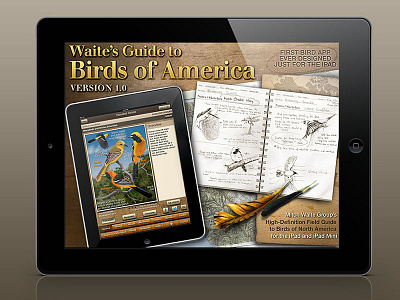 Waite's Guide to Birds of America apps ios ipad