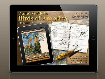 Waite's Guide to Birds of America