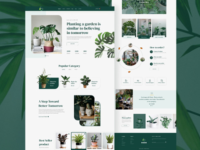 Plant shop website-Planty agency design digital agency ecommerce ui design landing page plant design plant landing page plant shop plant shop landing page plant ui design plant ux ui ui design uiux