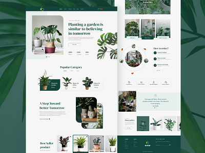 Plant shop website-Planty