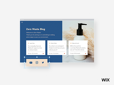 Zero Waste Blog design web webdesign wix wix design team