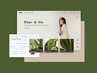 Plants Online Store design ui web webdesign wix wix design team