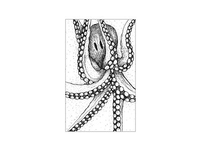 Octopus design illustration ink rappidograph