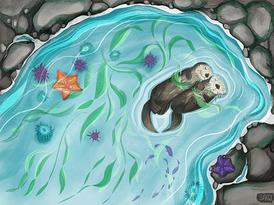 Sea Otters - Endangered Species adobe photoshop digital illustration digital painting illustration