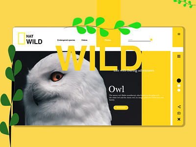 NAT WILD : Life with Daring Adventures challenge dailychallenge design design idea designidea designideas discoverideas landing page landingpage idea newideas ui uidesign user experience ux ux design uxui uxui design website websitedesign websitedesign idea