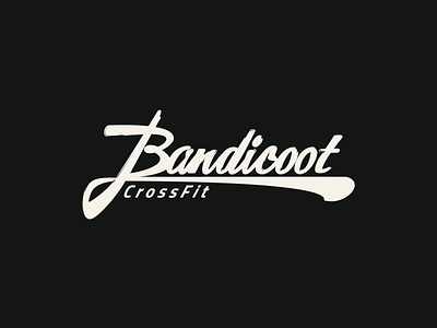 Bandicoot Script | Lettering & Animation animation crossfit frame by frame lettering lettering art procreate rough animator script sport