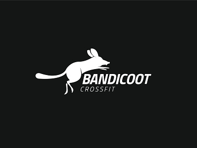 BANDICOOT  |  Logo