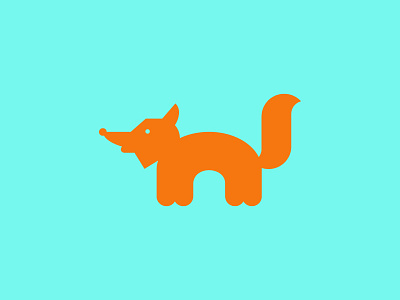 Fox animals fox