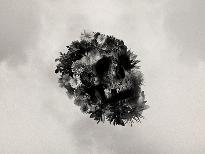 Flower Skull design digitalart diseñografico graphic design illustration post skull social media