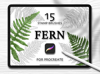 Fern. Procreate brush set. brush fern green leaf procreate set stamp