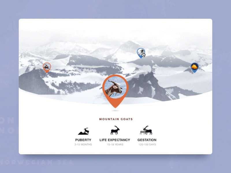 Norway parallax infographic motion camp travel statistic camping data icons click usability testing ipad application interface location pin motion navigation mountain goat snow animals stats of nature switch states website parallax map winter mountains infographic