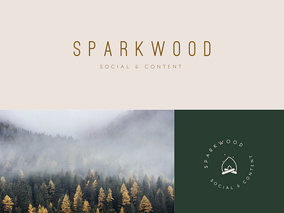 Sparkwood Social & Content | Brand Identity Concept brand identity branding concept design illustration illustrator logo mockup sketch app typography