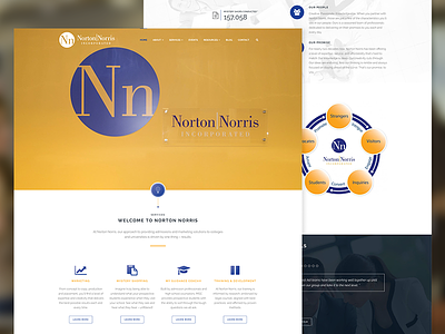 Norton Norris Website clean web web design web development website wordpress