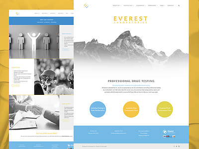 Everest Laboratories clean web web design web development website white
